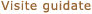 Visite guidate
